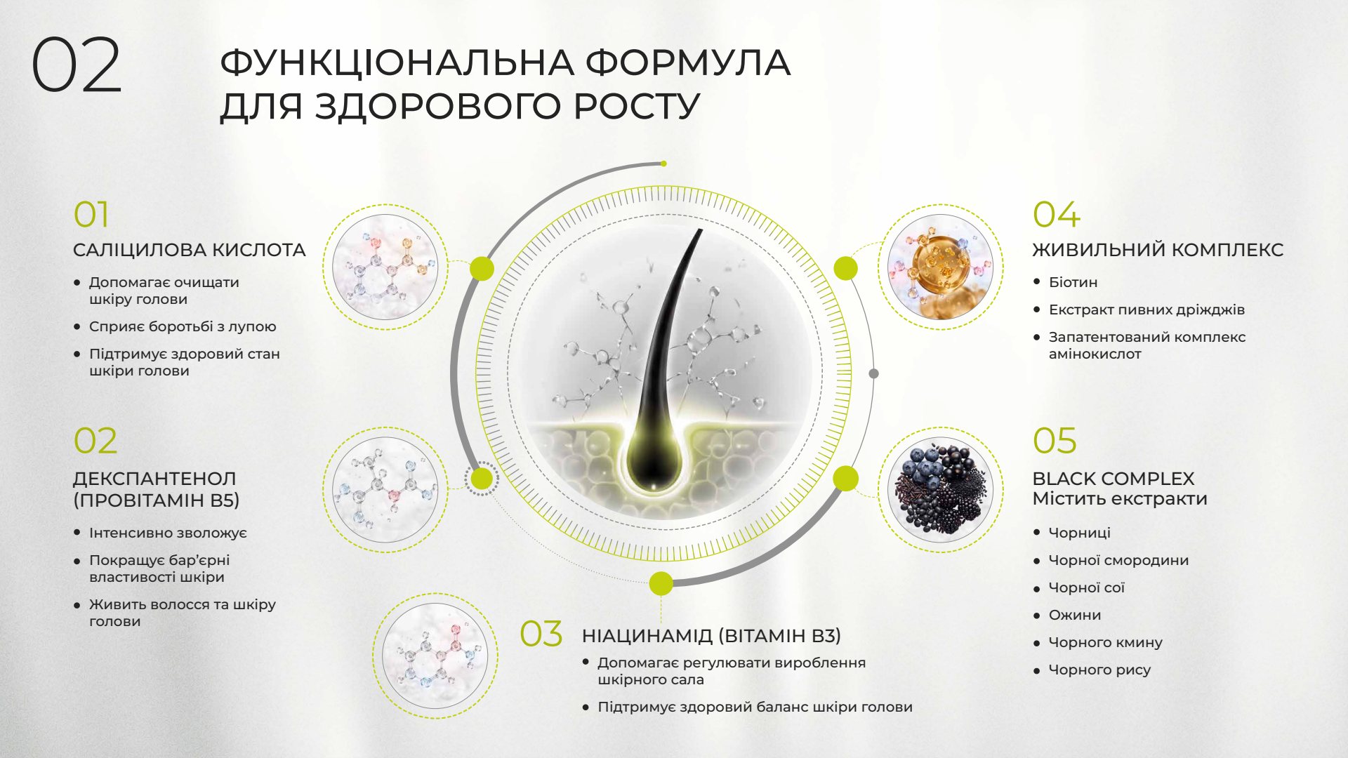 Презентація MORAN SD LAB — сторінка 2