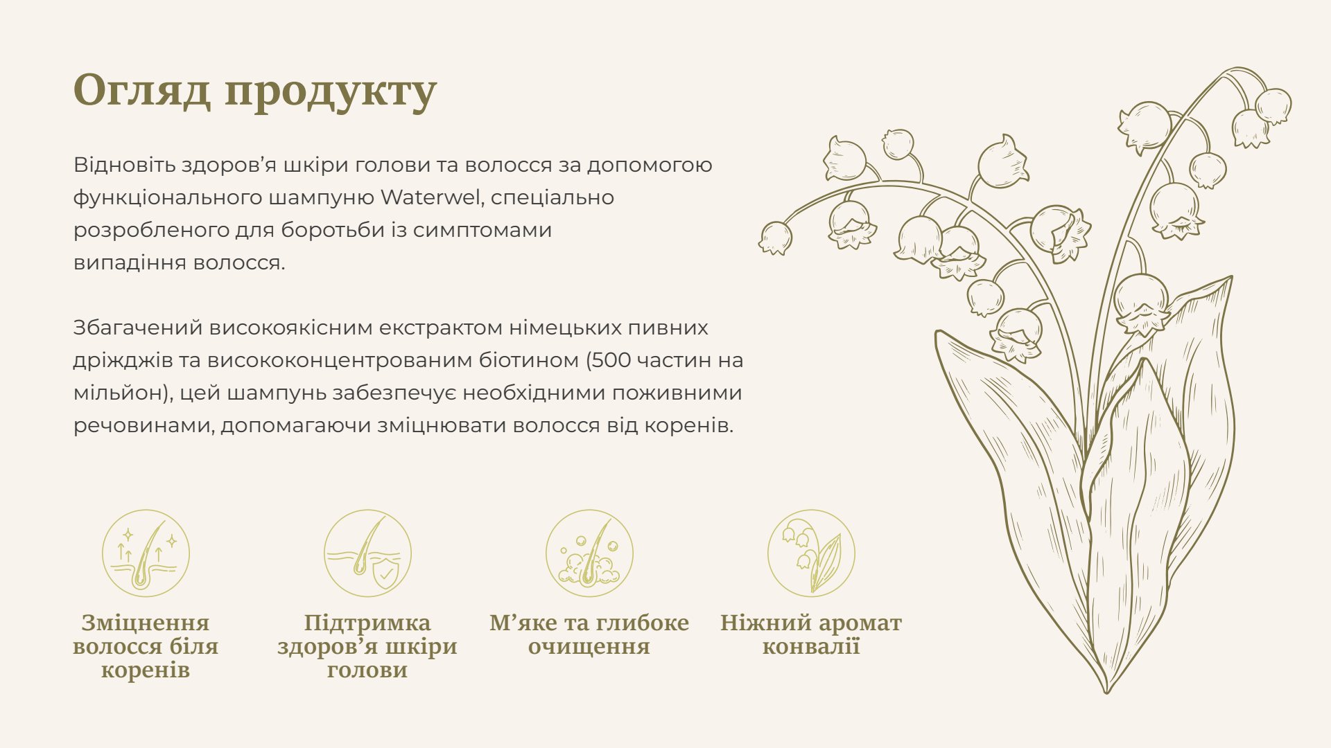 Презентація Waterwel Shampoo — сторінка 2